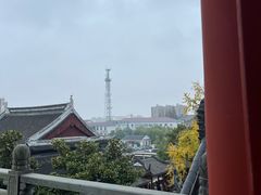 -上海东林寺(金山区)