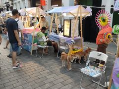 -文昌邓记清补凉(西沙路店)