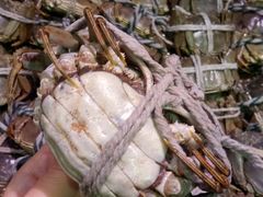 -旺豪阳光超市(友谊阳光城店)