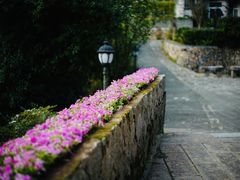 -鼓岭旅游度假区