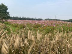 -嘉北郊野公园