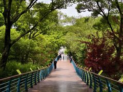 -上海吴淞炮台湾国家湿地公园