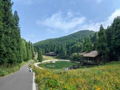 -武陵山森林公园