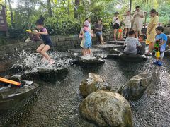 -成都市活水公园