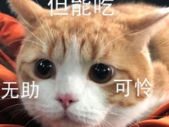-麦当劳(欢乐谷店)