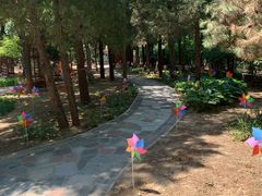 -南宫五洲植物乐园