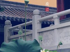 -灵谷景区