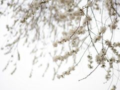 -雍和宫(地铁站)