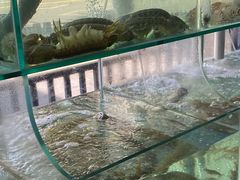 -凯华海鲜火锅·传承三十六年