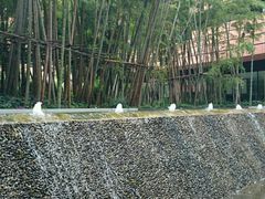 -上海衡山路十二号华邑酒店