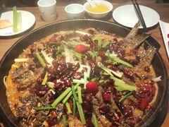 -老板恋上鱼(印象城店)