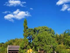 -全国青少年井冈山革命传统教育基地