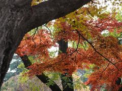 -西安市纺织公园