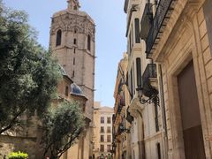 -瓦伦西亚大教堂