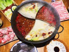 -白乐天毛肚火锅馆(解放碑店)