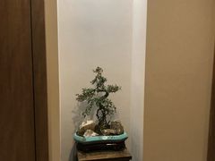 -成都蓝城悦杏温泉美食酒店(宽窄巷子店)