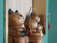-飞行喵MR PILOT|猫舍·猫咖(静安大融城店)