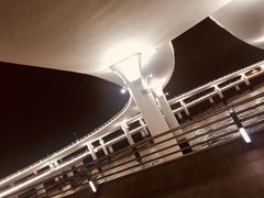 -演武大桥观景平台