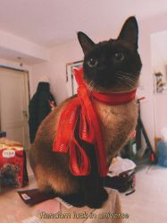 -恐龙·美甲美睫