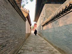 -马遂林烩面馆(少室路店)