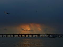 -宝安西湾红树林湿地公园