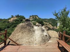 -大岭沟猕猴桃谷风景区