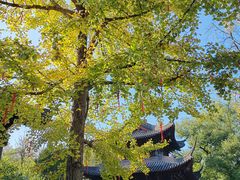 -钱王祠