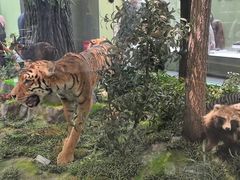 -国家自然博物馆