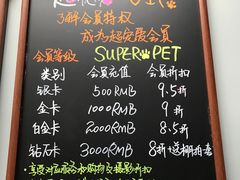 -超宠爱宠物摄影-Super pet