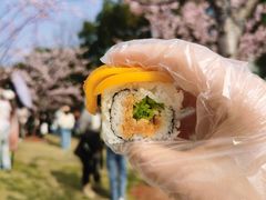 -顾村公园3号门停车场