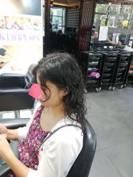 -风向标WIND VANE SALON
