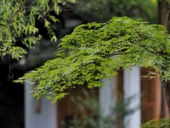 -杭州植物园