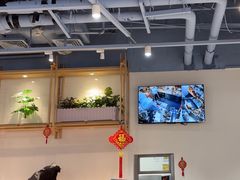 -翡翠拉面小笼包Crystal Jade(上海浦东国际机场T1店)