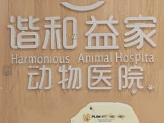 -谐和益家动物医院·免疫绝育·血液透析·宠保定点医院(高新伊藤分院)