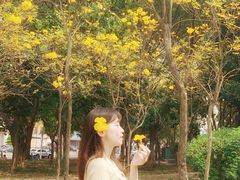 -北国饭店(阳光店)