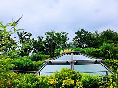 -三鹰之森吉卜力美术馆