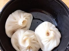 鲜肉小笼汤包-一品小笼(金融街店)