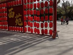-西苑公园