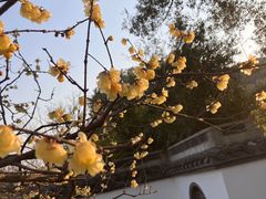 -无锡梅园公园