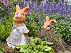 -人民公园(罗湖区)