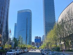-大望京公园