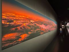 -罗红摄影艺术馆