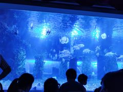 -台州海洋世界