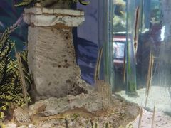 -太平洋海底世界