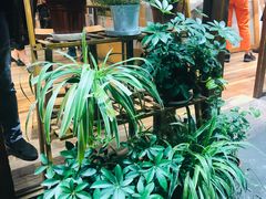 -猫的天空之城概念书店(杭州南宋御街店)