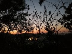 -梧桐山风景名胜区