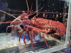 -大红袍火锅料理(尖沙咀店)