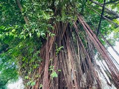 -三溪村
