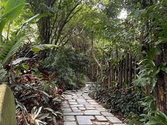 -深圳仙湖植物园