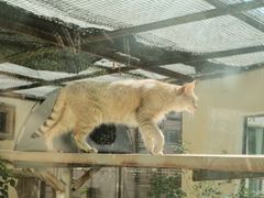 -青藏高原野生动物园